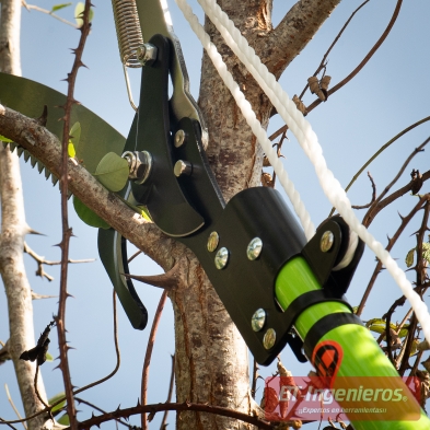 Podadora de pértiga utilizada en poda de árboles desde el suelo