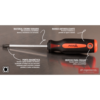 Destornillador Torx ASTA T30 x 100 mm con indicaciones de punta magnética, mango antideslizante y Cr-V
