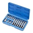 Juego de puntas Torx con adaptador de 1/2". 15 piezas