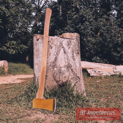 Hacha de tala con mango de nogal apoyada en un tronco para corte de leña
