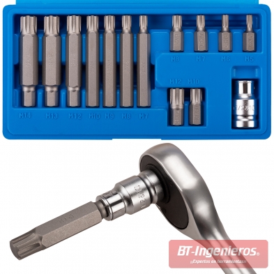 Juego de puntas Ribe M5–M14 en estuche rígido