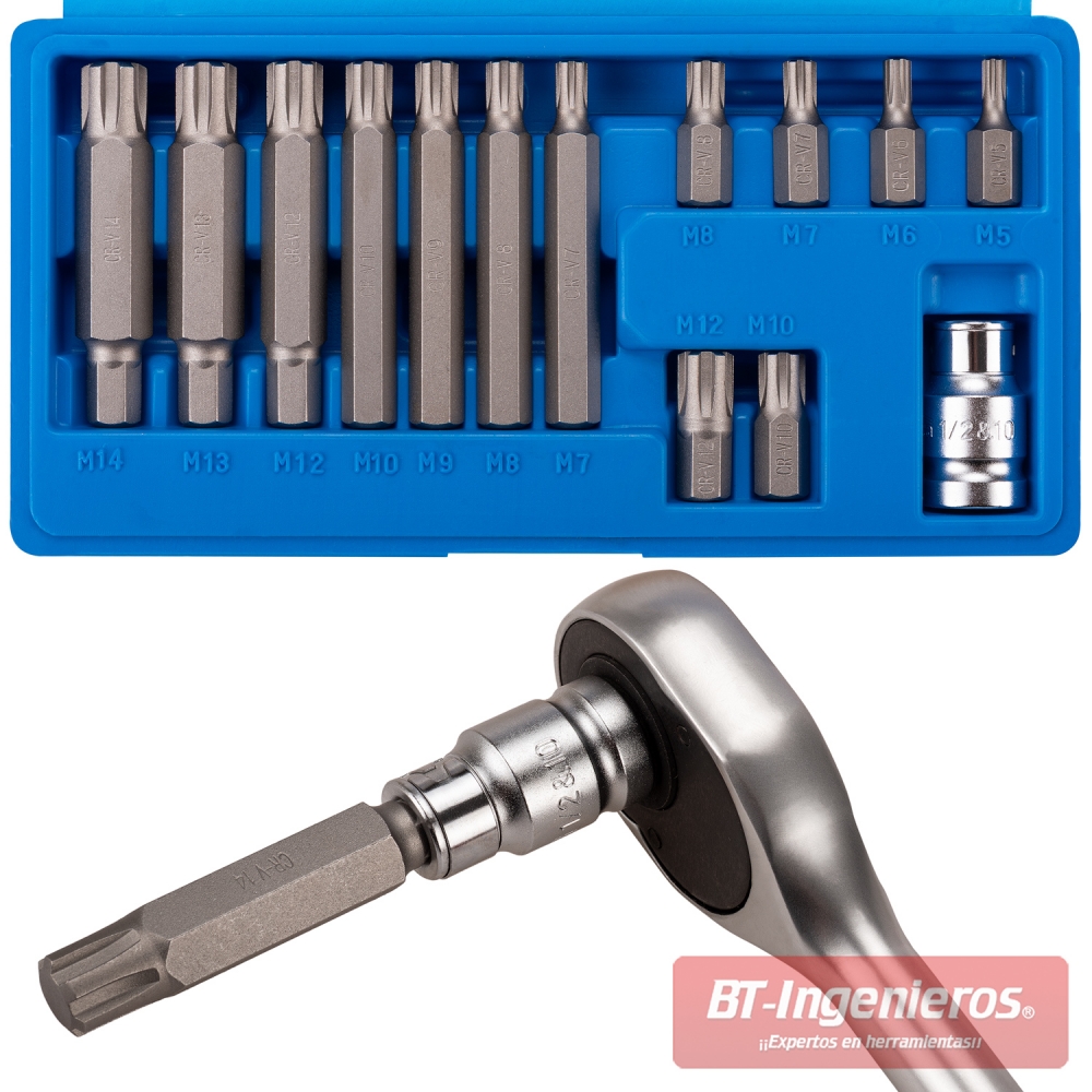 Juego de puntas Ribe M5–M14 en estuche rígido