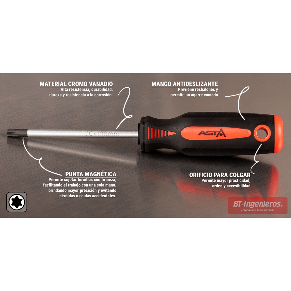 Destornillador Torx ASTA T30 x 100 mm con indicaciones de punta magnética, mango antideslizante y Cr-V