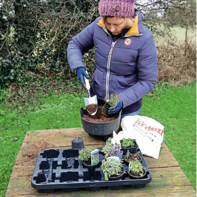 Persona usando un paletín de jardín para trasplantar plantas en una maceta con sustrato
