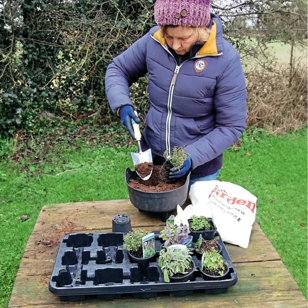 Persona usando un paletín de jardín para trasplantar plantas en una maceta con sustrato