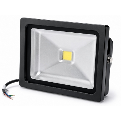 Proyector COB LED 30W | 2100 Lúmenes