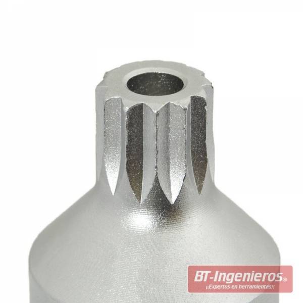 Punta XZN con agujero para tornillos de seguridad.