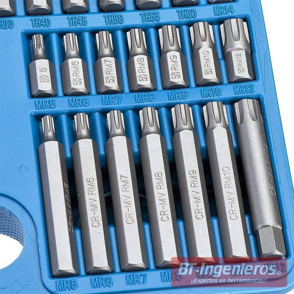 Puntas Ribe o Torx PLUS